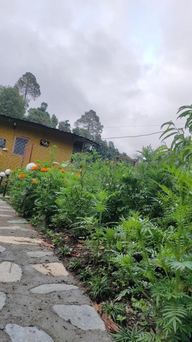 Krishna Kutir, Talla Ramgarh By The Meditating Society Екстериор снимка
